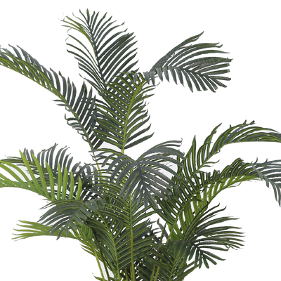 ARECA II Palm Tree