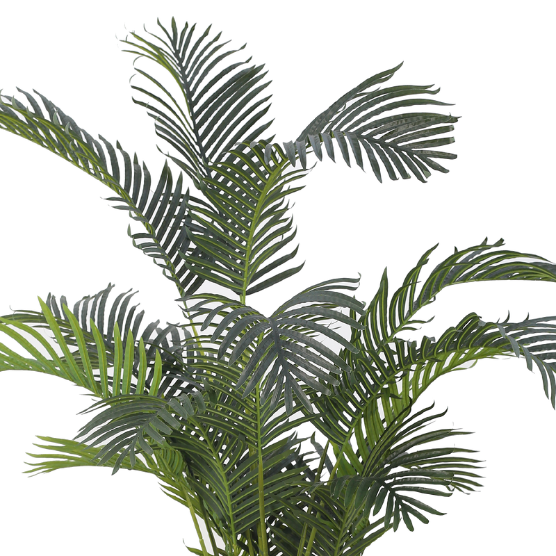 ARECA II Palm Tree