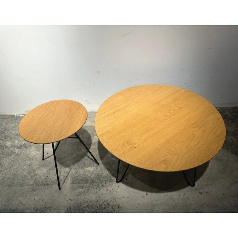 Coffee Table & Side Table Set