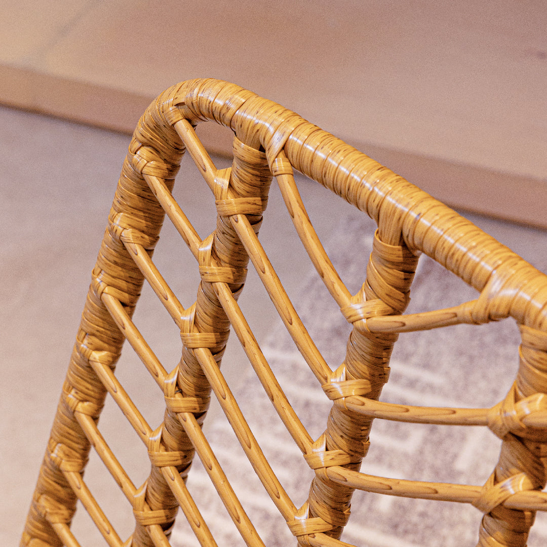 SILAS Dining Chair PE Rattan