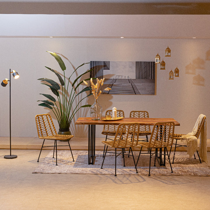 SILAS Dining Chair PE Rattan