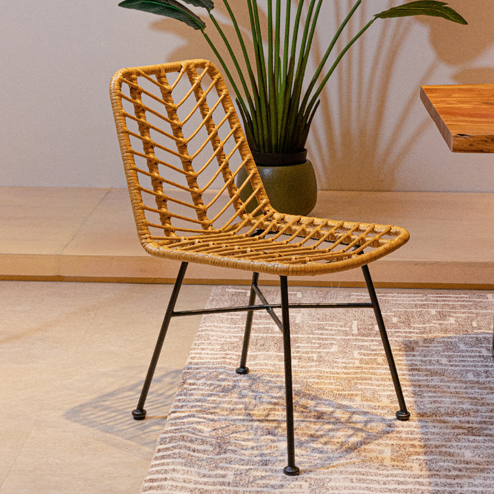 SILAS Dining Chair PE Rattan