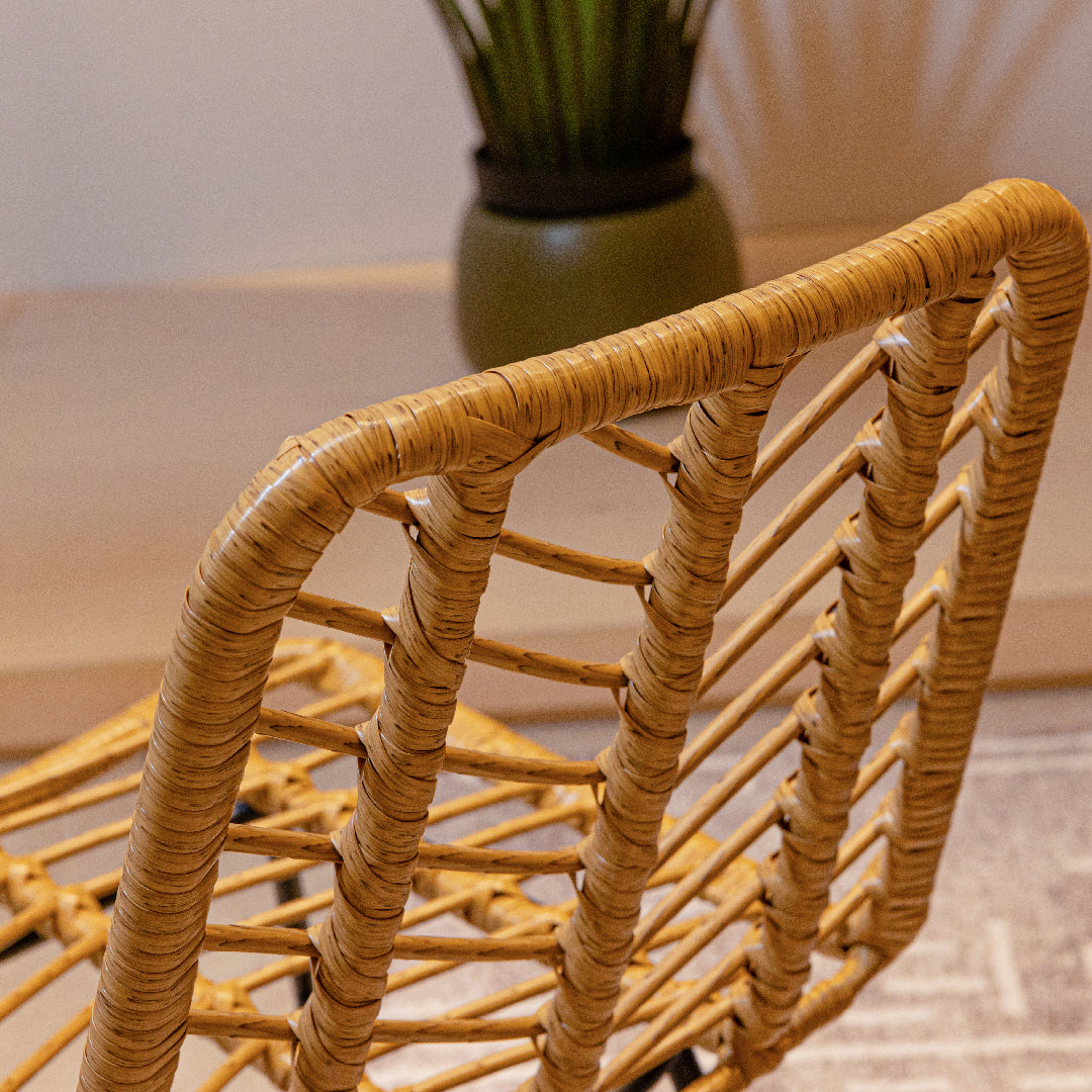 SILAS Dining Chair PE Rattan