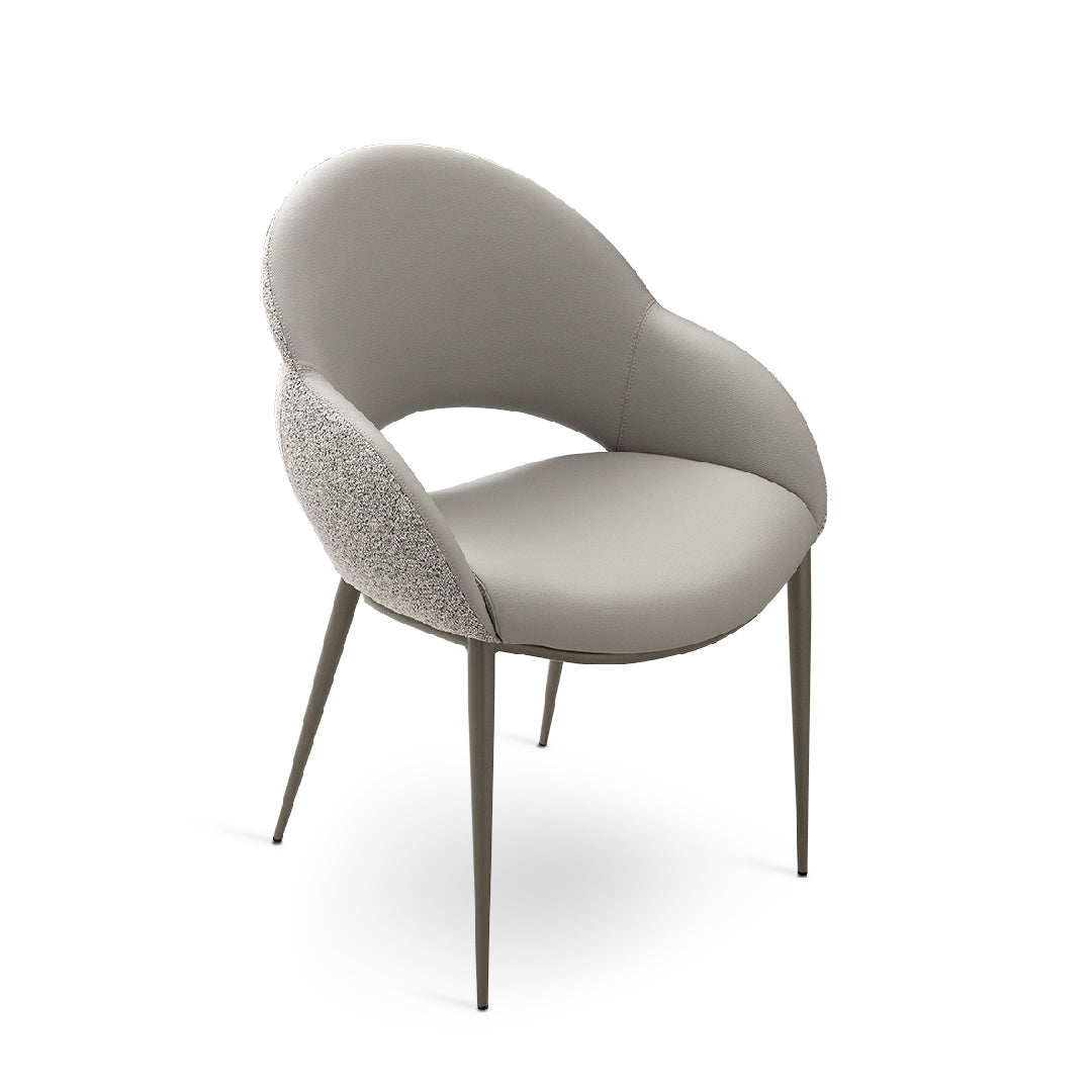 ARIDON Arm Dining Chair