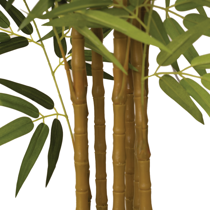 BAMBOO Tree