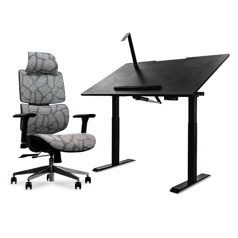 EVIS Desk with EV Ergox Office Chair