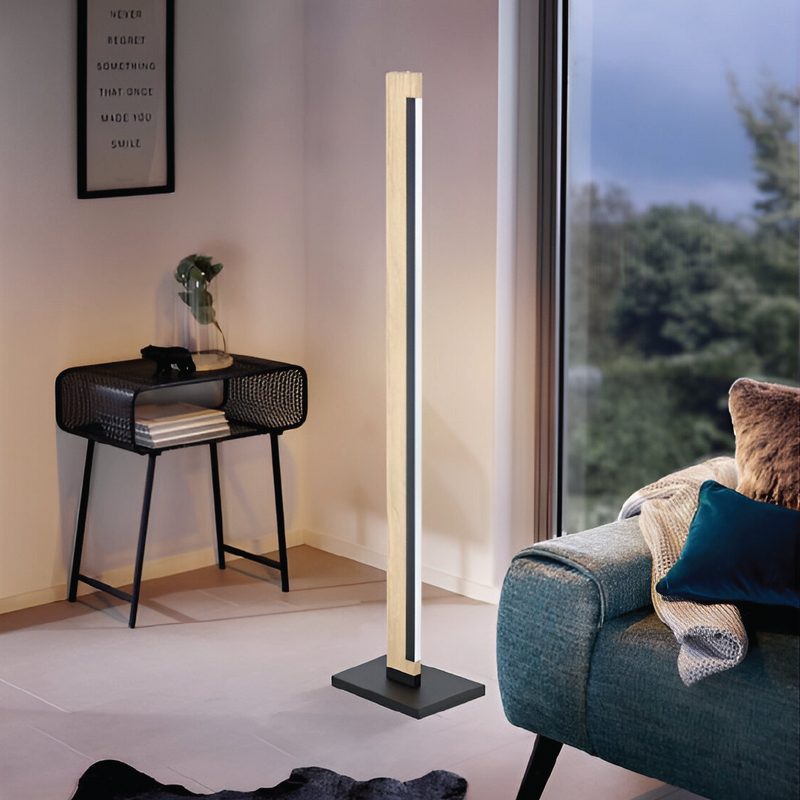 CMACHO Floor Lamp