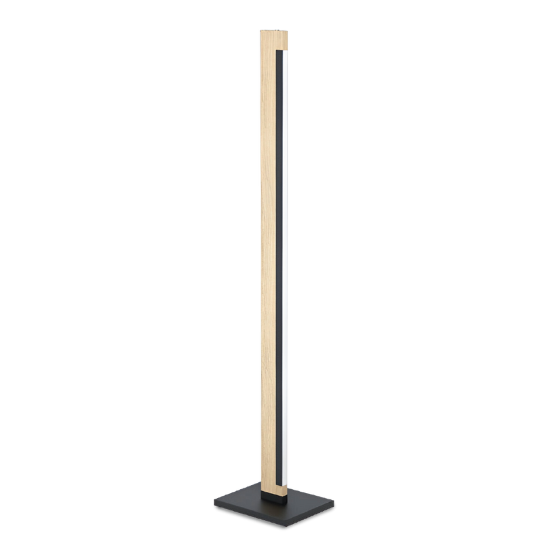 CMACHO Floor Lamp