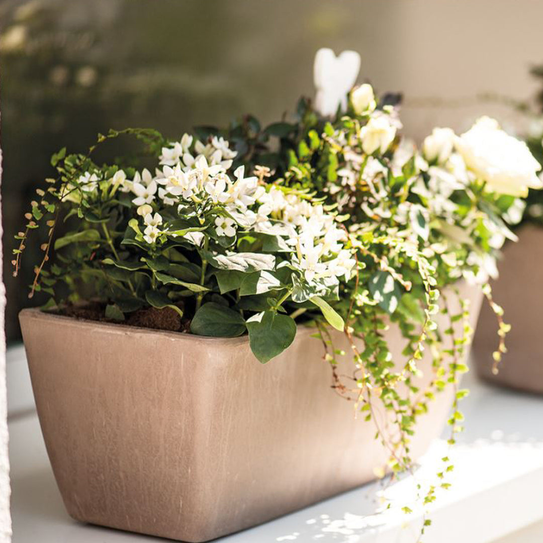 CASETTA Garda Claypot