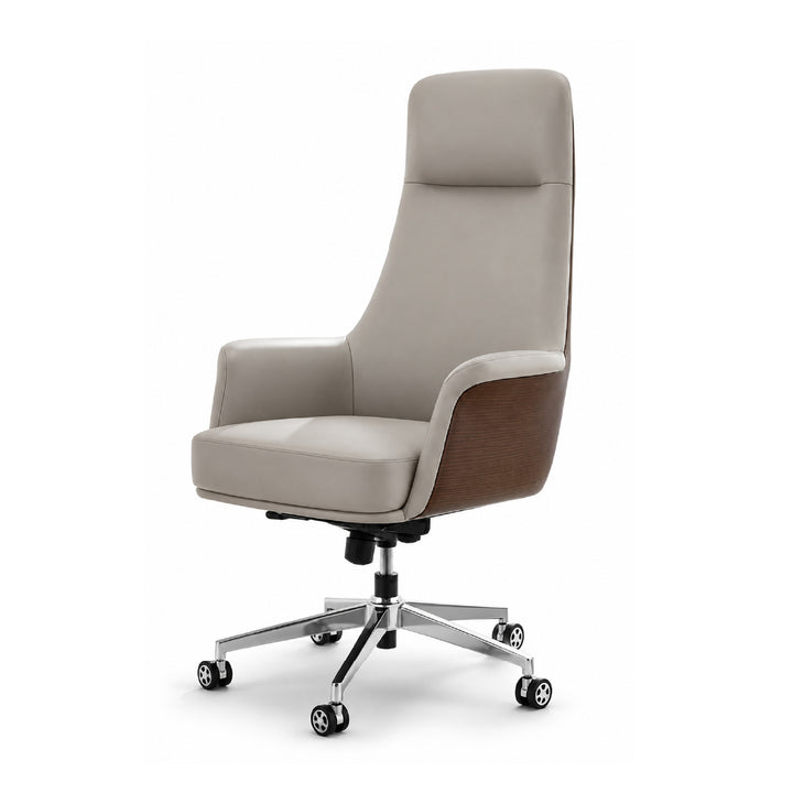 CASSIDY Director Office Chair