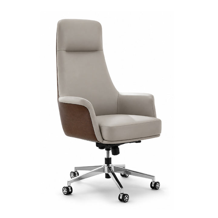 CASSIDY Director Office Chair