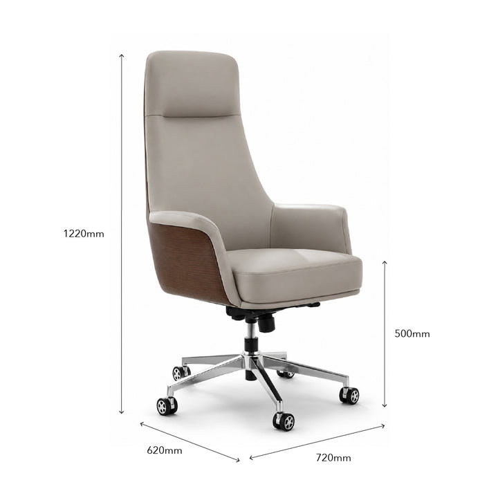 CASSIDY Director Office Chair