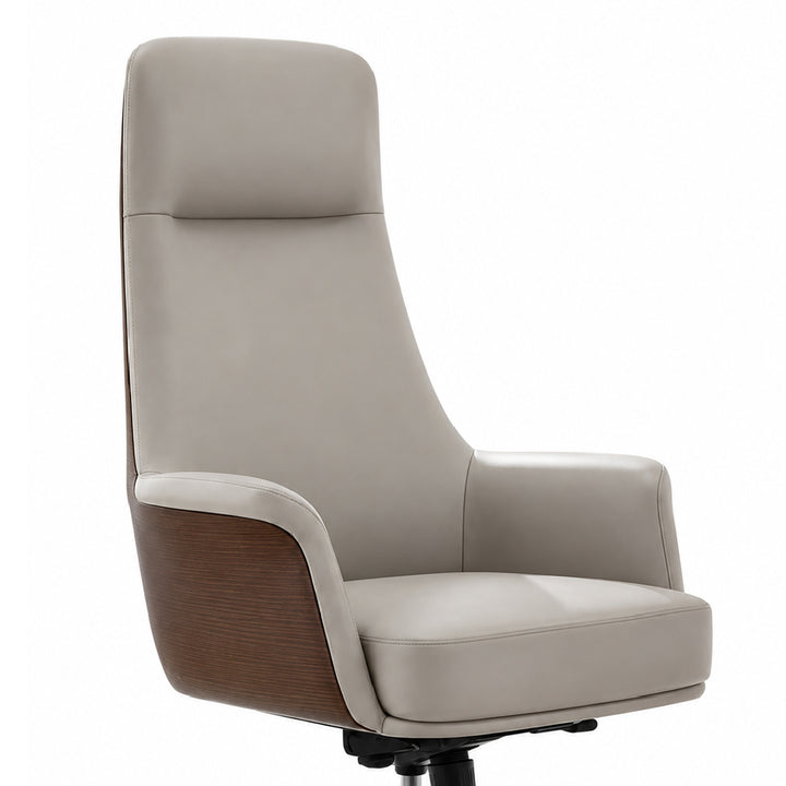 CASSIDY Director Office Chair