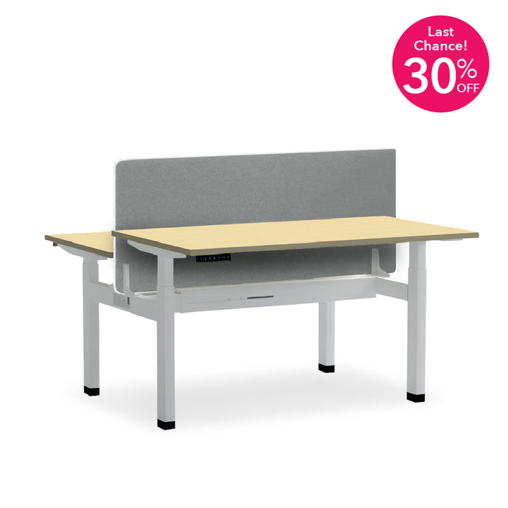 DUALFLEX Height Adjustable Workstation Desk with Panel