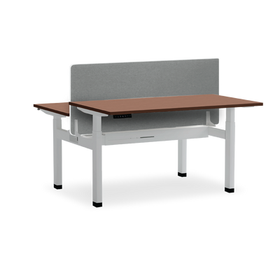 DUALFLEX Height Adjustable Workstation Desk with Panel