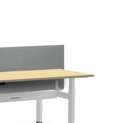 DUALFLEX Height Adjustable Workstation Desk with Panel