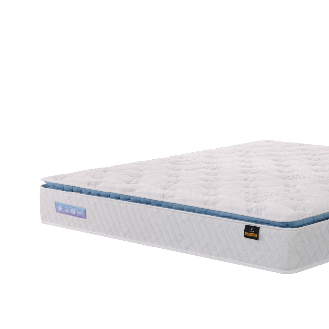 A DeRUCCI Energex Mattress shown at an angle on a clean white background, featuring a blue edge trim and small brand labels on the side.