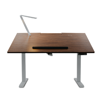 EVIS Desk with EV Ergox Office Chair