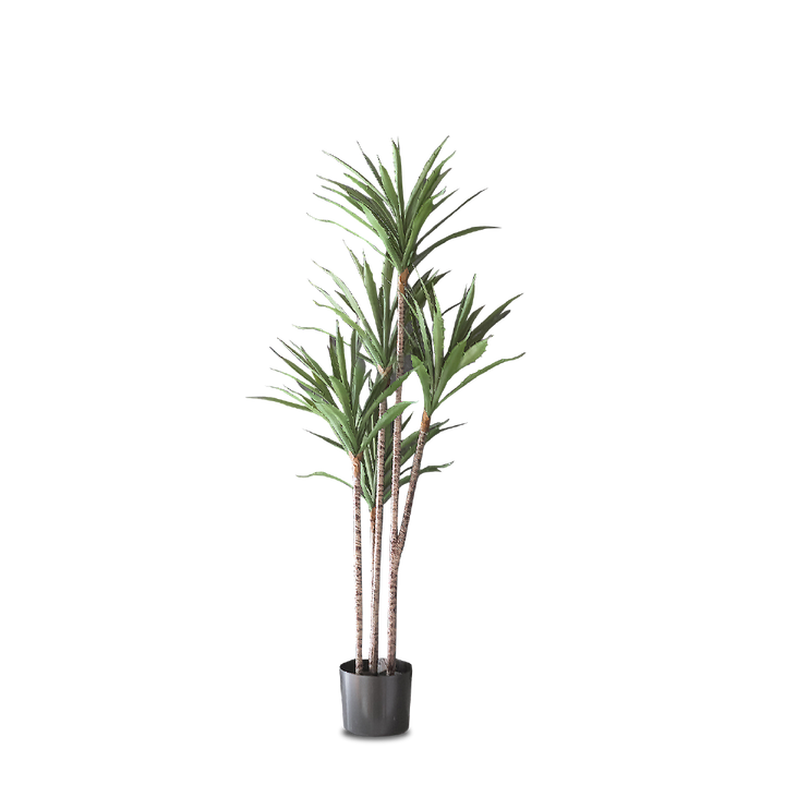 FAUX Agave Tree