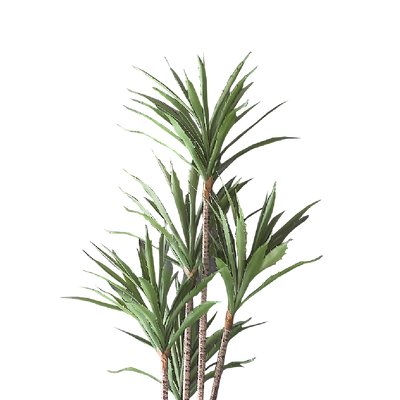 FAUX Agave Tree