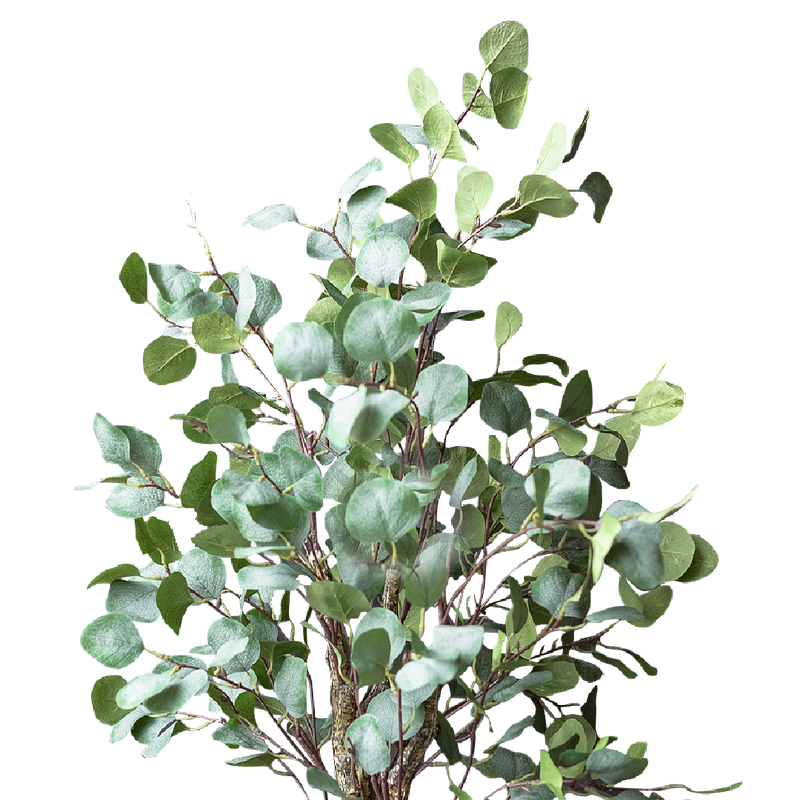 FAUX Eucalyptus Tree