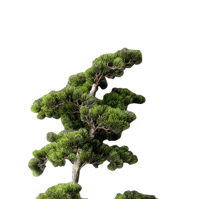 FAUX Greeting Pine