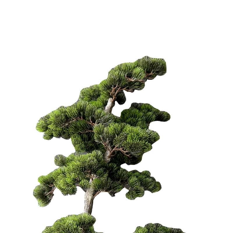 FAUX Greeting Pine