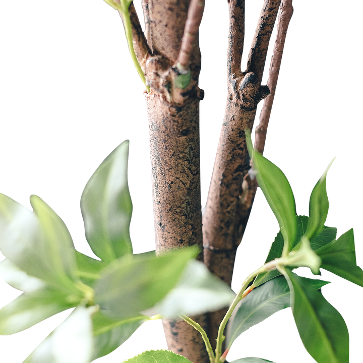 FAUX Pieris Japonica Tree