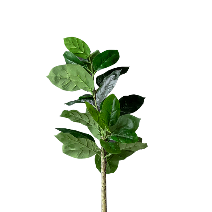 FAUX Plant Rubber Tree