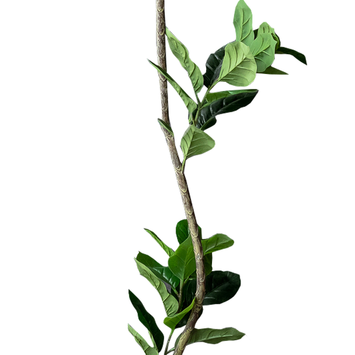 FAUX Plant Rubber Tree