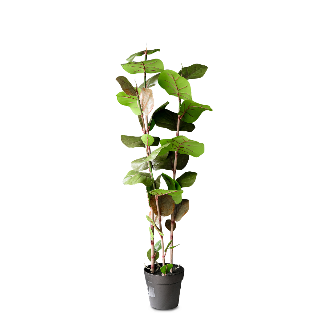 FAUX Sea Grape Tree