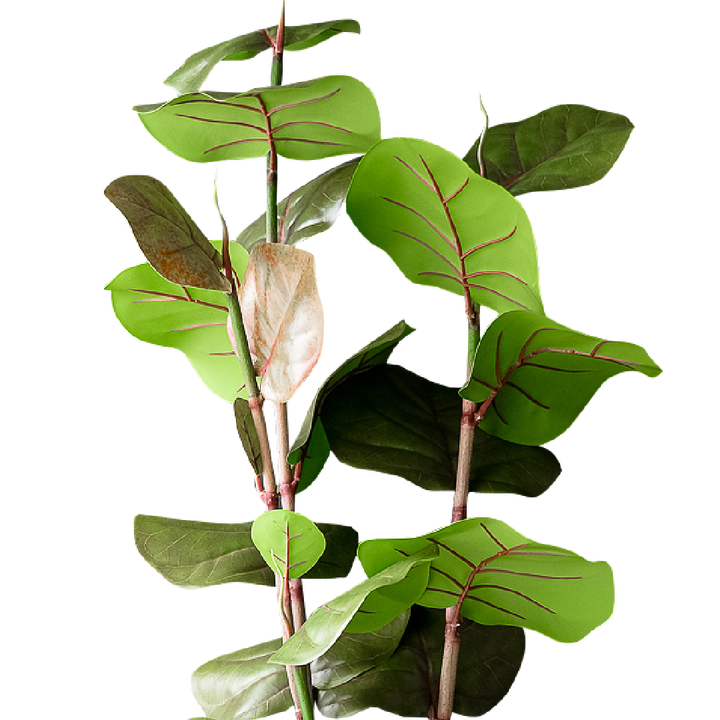 FAUX Sea Grape Tree