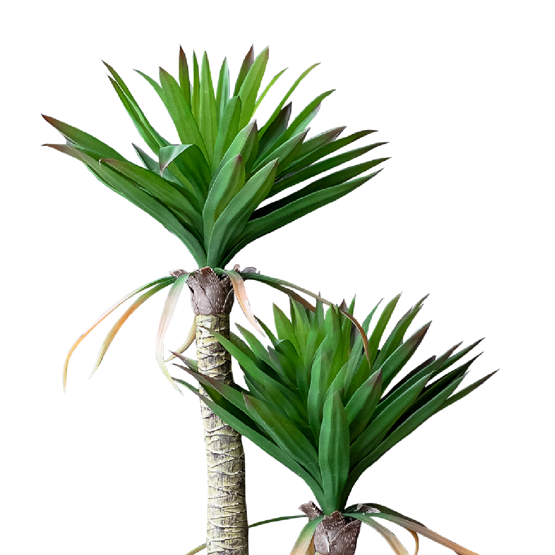 FAUX Yucca Elpahantipes