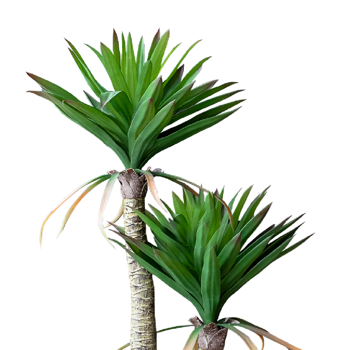 FAUX Yucca Elpahantipes