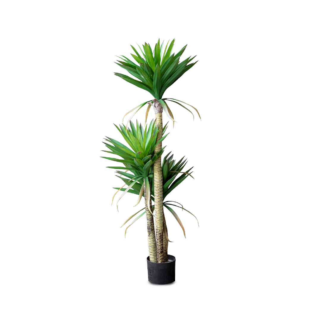 FAUX Yucca Elpahantipes