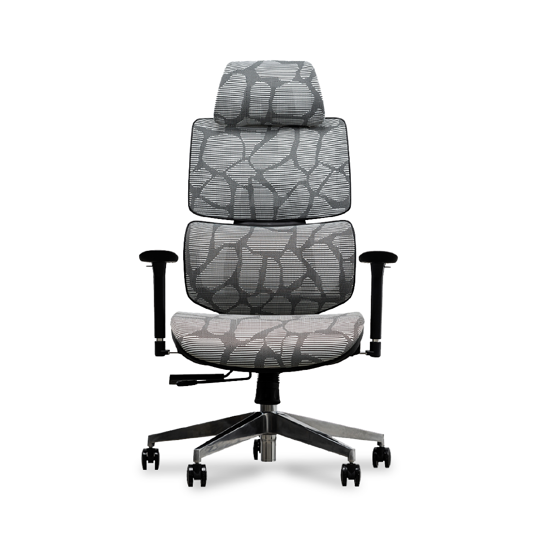 EVIS Ergox Executive Office Chair Shaded Grey
