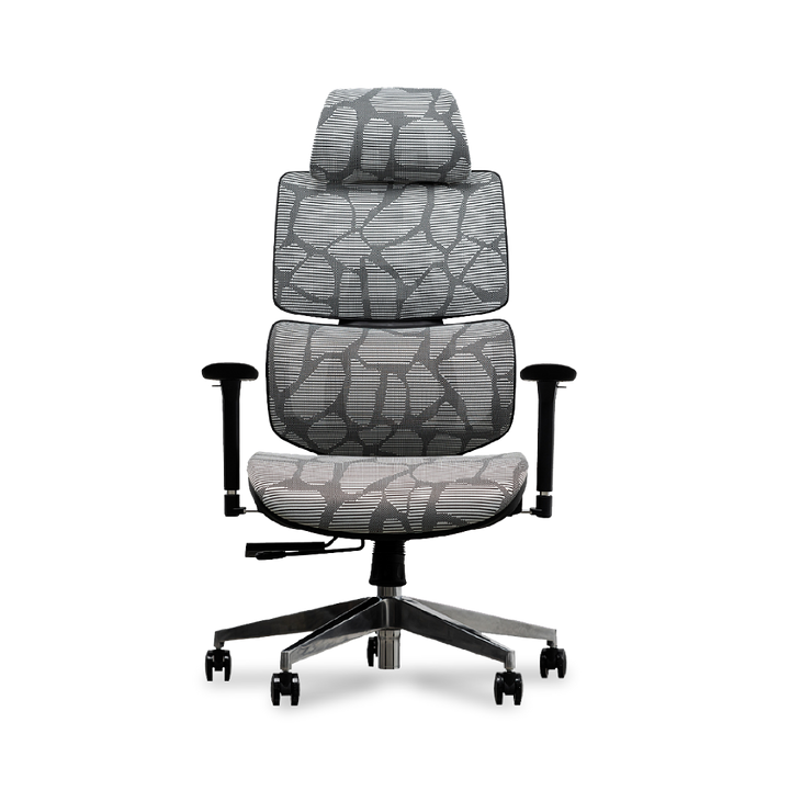 EVIS Ergox Executive Office Chair Shaded Grey