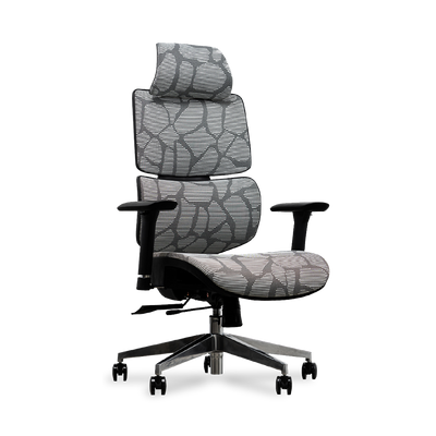 EVIS Desk with EV Ergox Office Chair