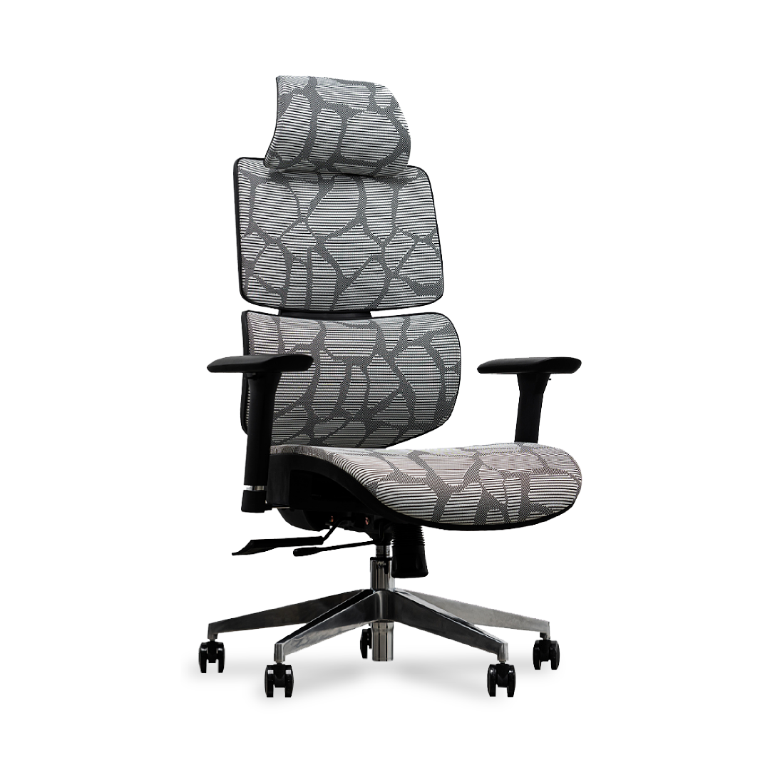 EVIS Ergox Executive Office Chair Shaded Grey
