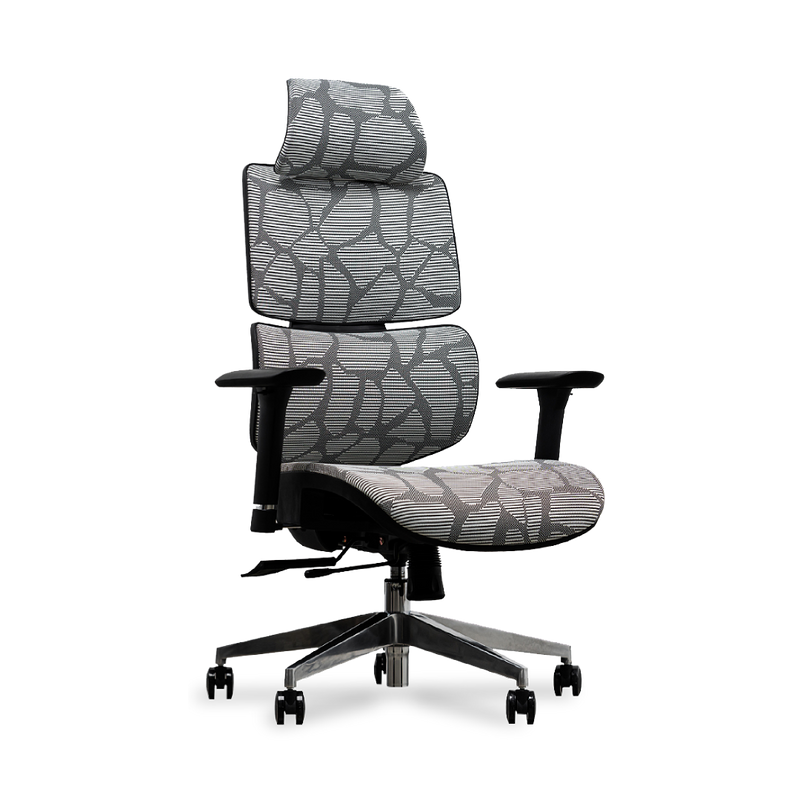 EVIS Ergox Executive Office Chair Shaded Grey