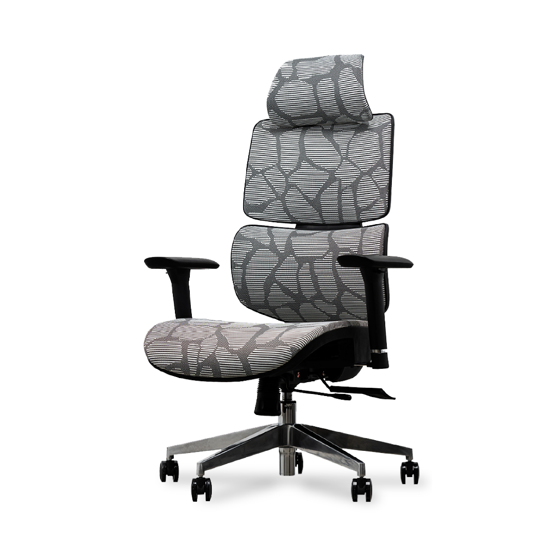EVIS Ergox Executive Office Chair Shaded Grey