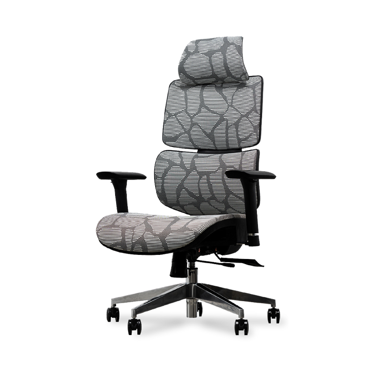 EVIS Ergox Executive Office Chair Shaded Grey