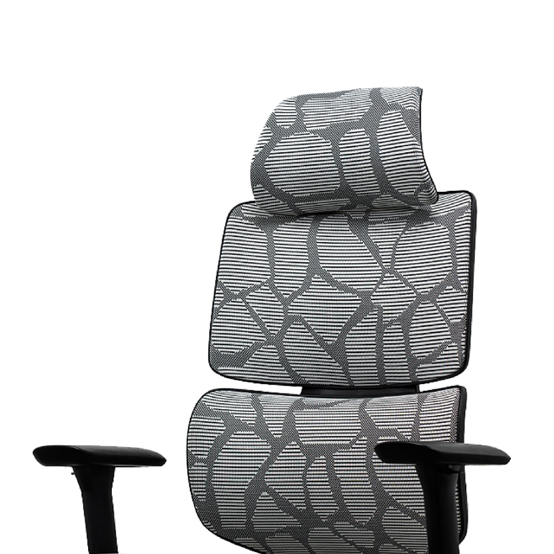 EVIS Ergox Executive Office Chair Shaded Grey