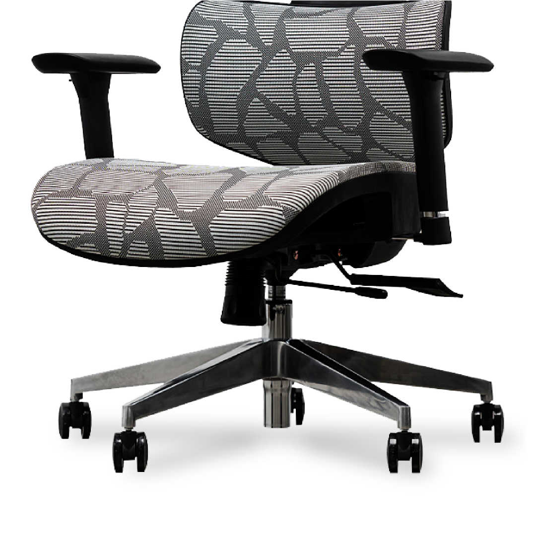 EVIS Ergox Executive Office Chair Shaded Grey