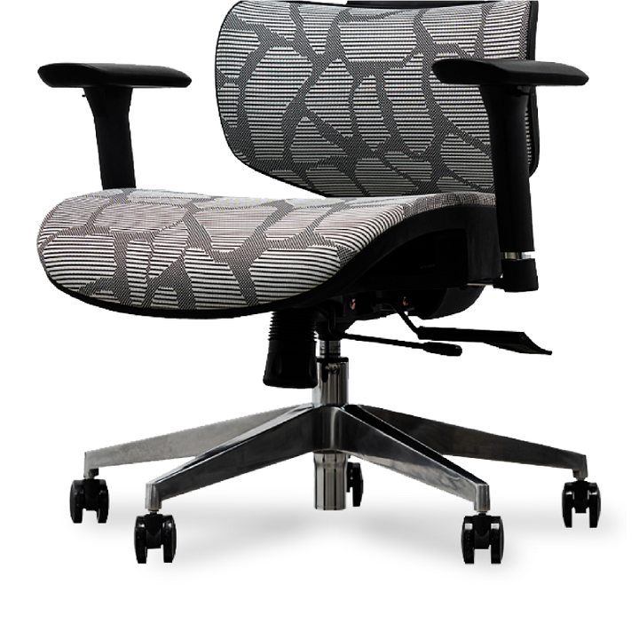 EVIS Ergox Executive Office Chair Shaded Grey