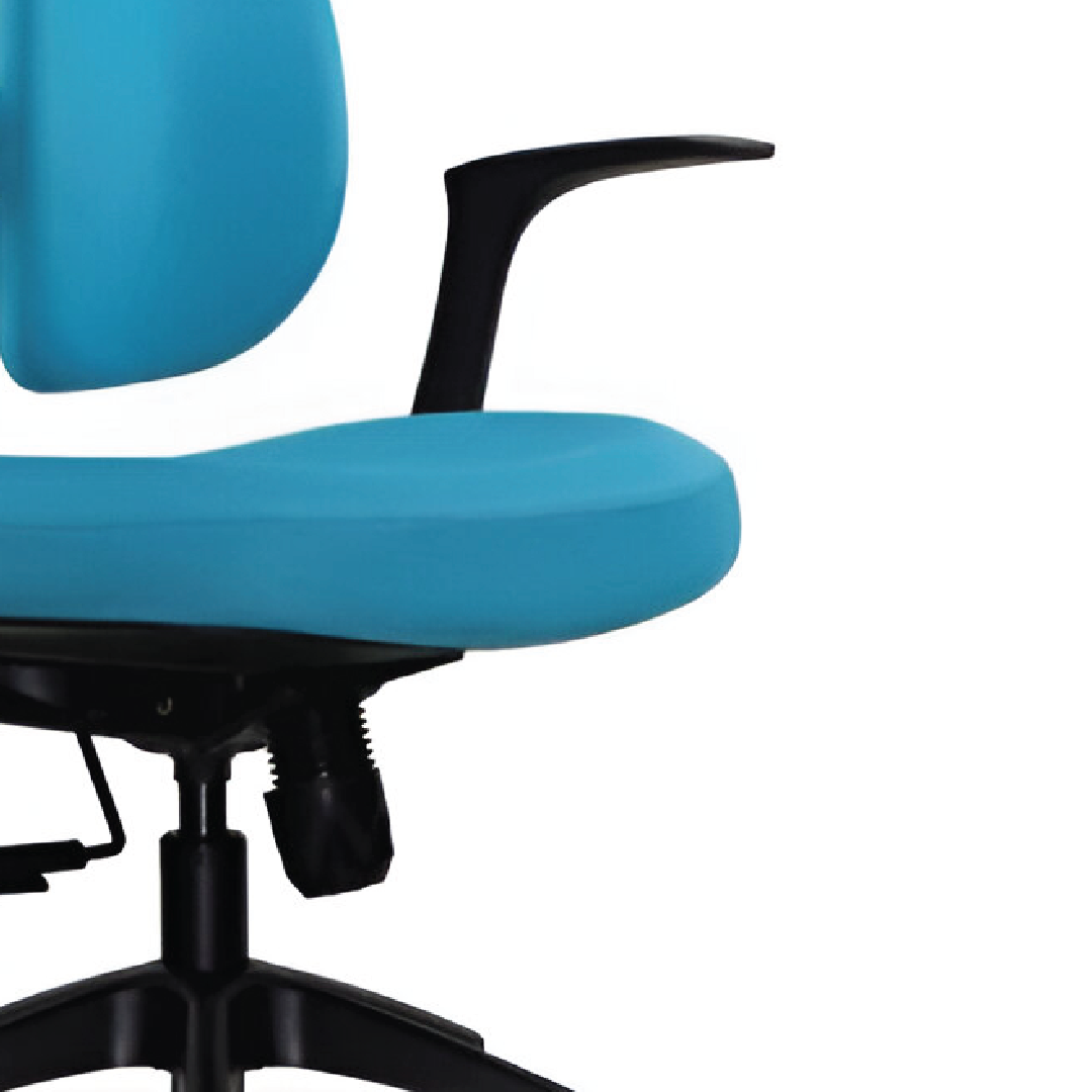 ISABELLA I Medium Back  Executive Chair