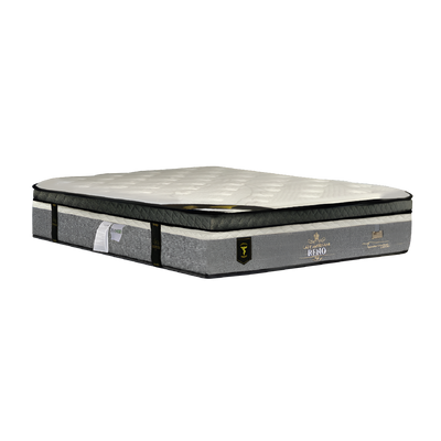 LADY AMERICANA RENO Queen Mattress