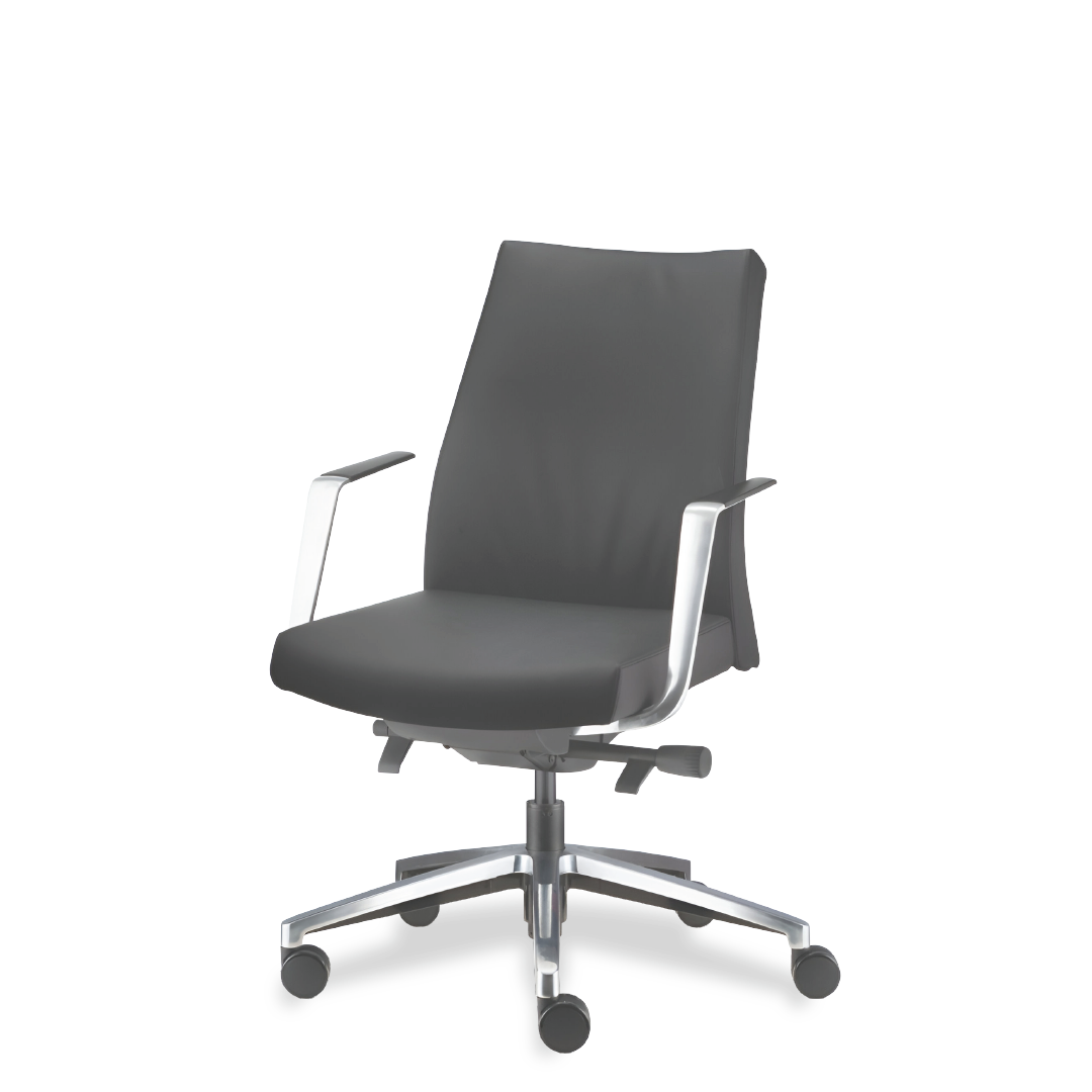 LUXTON Executive Low back Chair