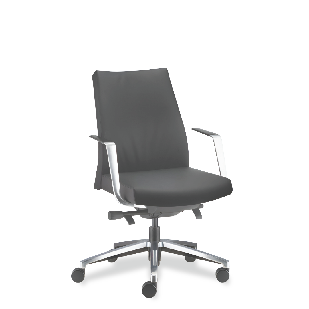 LUXTON Executive Low back Chair