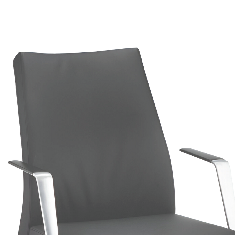 LUXTON Executive Low back Chair